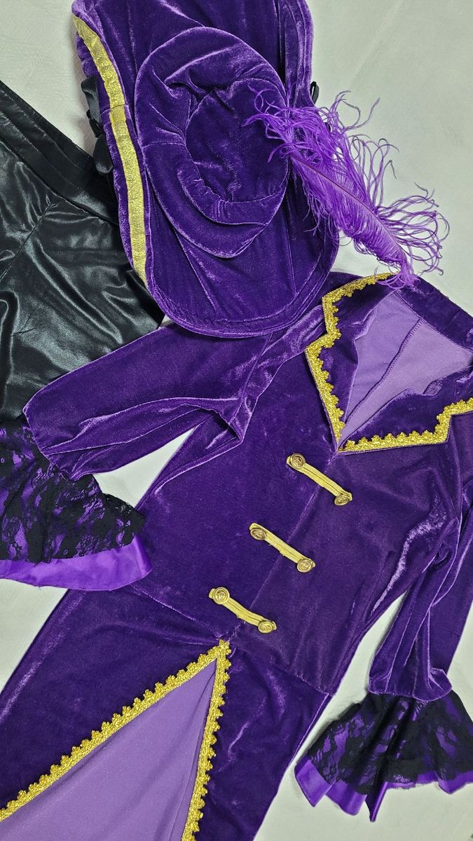 Captain Amethyst Pirate Adult Fancy Dress Pirate Captain Costume